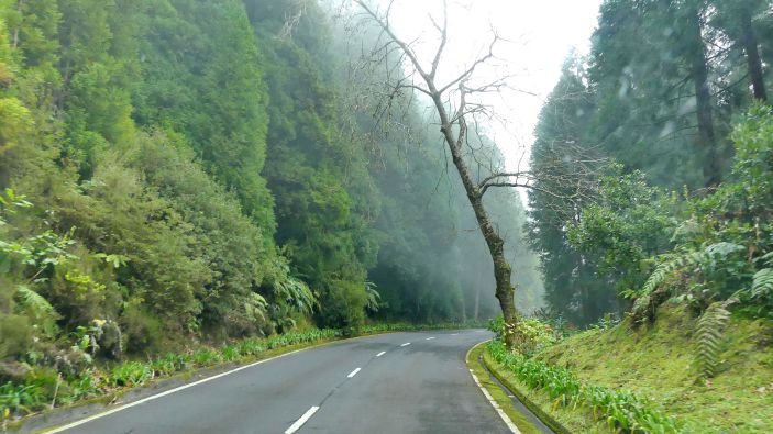 SAO MIGUEL - unterwegs