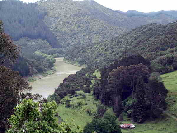 mit dem Auto fahren wir durch das Tal des Wanganui-Flusses mit dem Auto fahren wir durch das Tal des Wanganui-Flusses